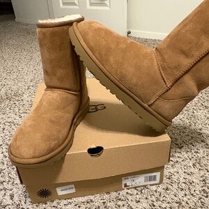 UGG Classic Short Boots II • Chestnut